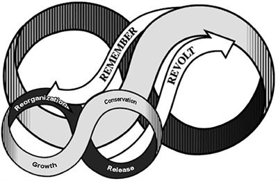 The Dynamics of Psycho-Social-Ecological Resilience in the Urban Environment: A Complex Adaptive Systems Theory Perspective